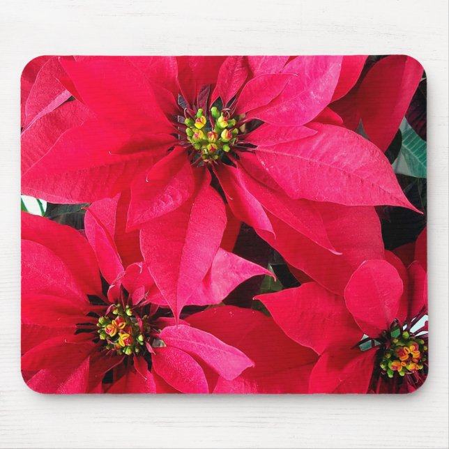 Red Poinsettias Mouse Mat (Front)