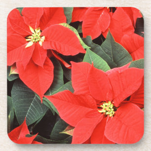 Red Poinsettias Set of Cork Coasters
