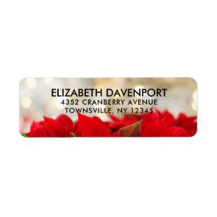 Red Poinsettias with Golden Bokeh Christmas