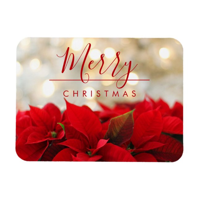 Red Poinsettias with Golden Bokeh Christmas Magnet (Horizontal)