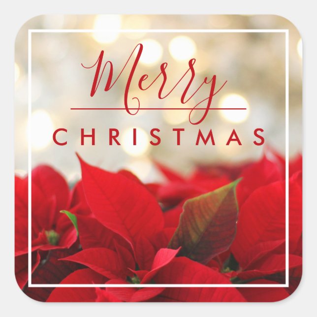 Red Poinsettias with Golden Bokeh Christmas Square Sticker (Front)