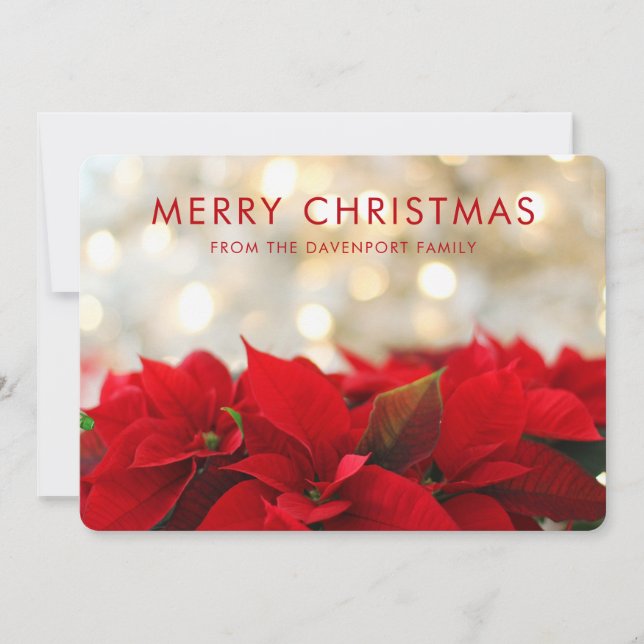 Red Poinsettias with Golden Bokeh Merry Christmas Holiday Card (Front)