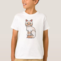 Red Point Tabby Birman / Ragdoll Cat