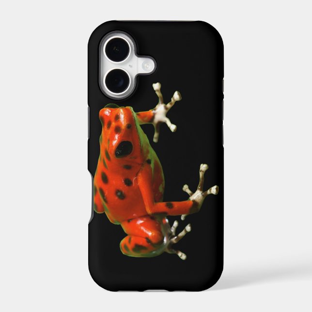 Red Poison Dart Frog (Back)