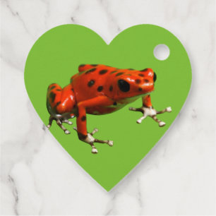 Red Poison Dart Frog Favour Tags