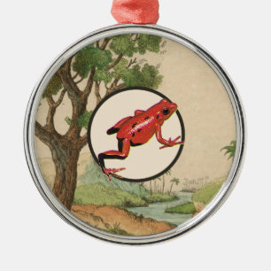 Red Poison Dart Frog Natural Habitat Illustration Metal Tree Decoration