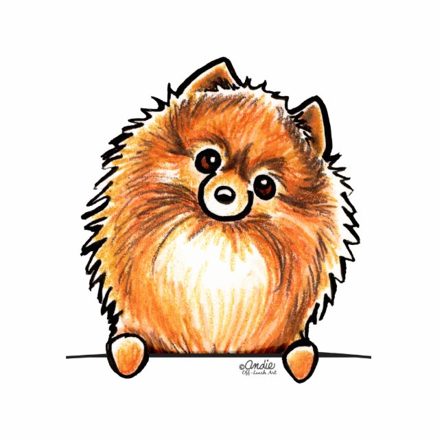 Red Pomeranian Paws Up Photo Sculpture Magnet (Front)