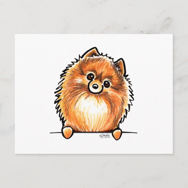 Red Pomeranian Paws Up Postcard (Front)