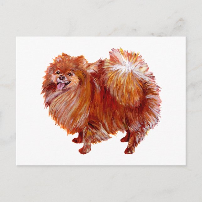 Red Pomeranian Postcard (Front)