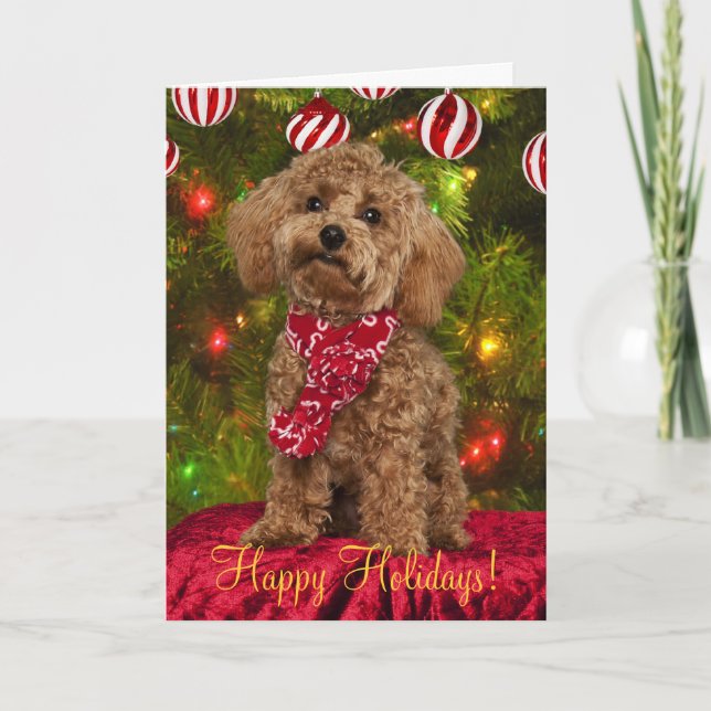 Red Poodle Christmas Card (Front)