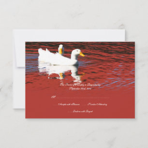 Red Pop Art Pekin Ducks Wedding Invitation RSVP