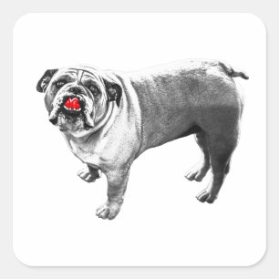 Red Pop, Upward Look Square Sticker