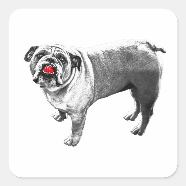 Red Pop, Upward Look Square Sticker (Front)