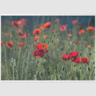 Red Poppie Field Decoupage Tissue Paper