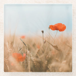Red Poppies and Gold Barley Glass Coaster