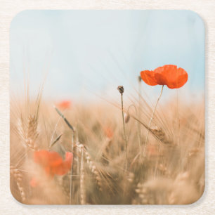 Red Poppies and Gold Barley Square Paper Coaster