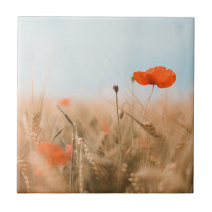 Red Poppies and Gold Barley Tile