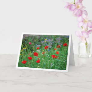 Red Poppies and Wild Flowers Card