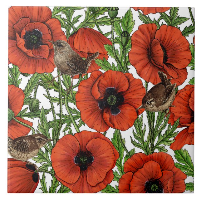 Red poppies and wrens, green leaves on white tile (Front)