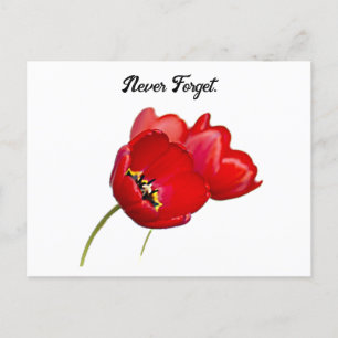 Red Poppies Art Poppy Rememberance Day Photo Postcard