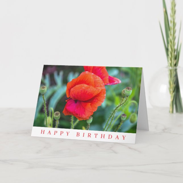 Red poppies birthday card (Front)