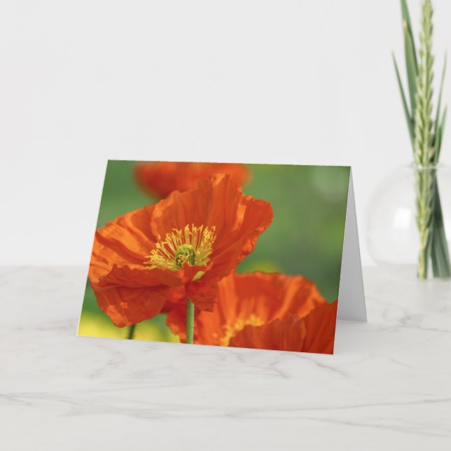 Red Poppies Card (Front)