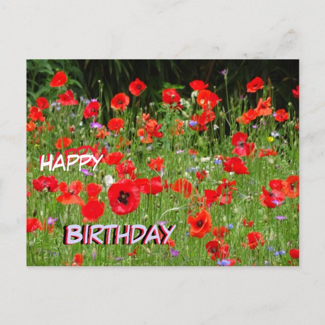 Red Poppies Field Happy Birthday Postcard (Front)