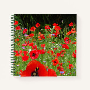 Red Poppies Field Notebook