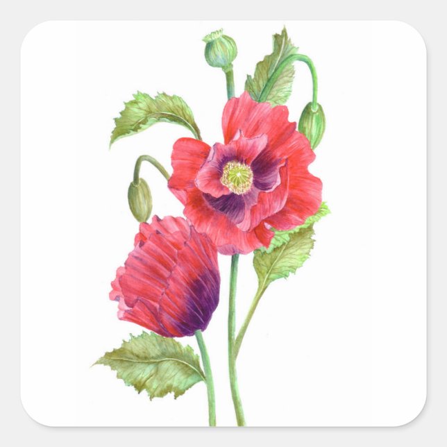 Red Poppies Floral Art Square Sticker (Front)