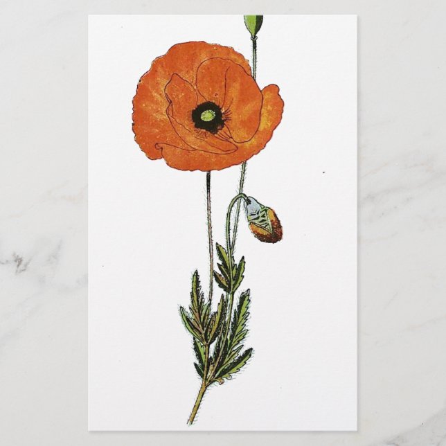 Red Poppies Flower Vintage Botanical Print Stationery (Front)