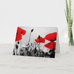 Red Poppies Greeting Card
