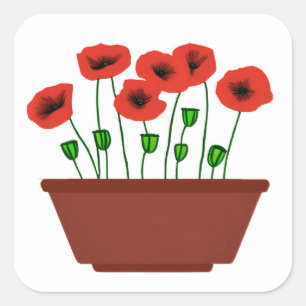 Red Poppies in a Terracotta Planter Square Sticker