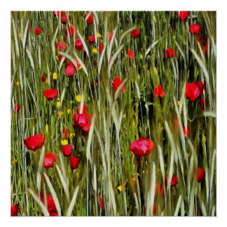 Red Poppies In A Wheatfield Painting Poster