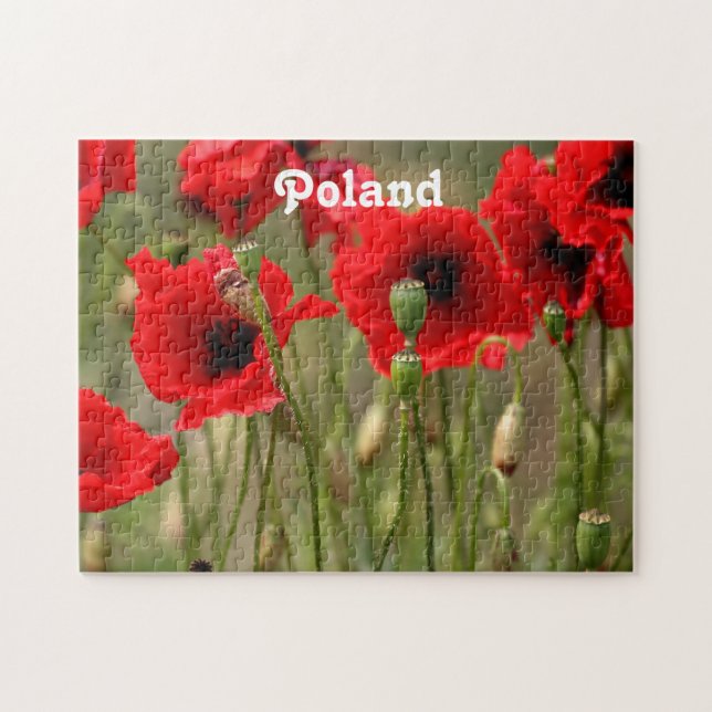 Red Poppies in Poland Jigsaw Puzzle (Horizontal)