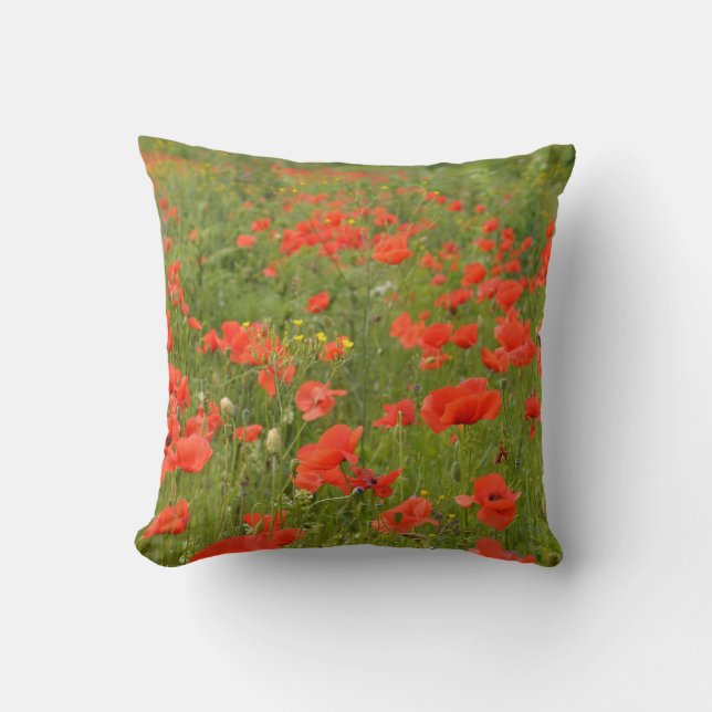 Red Poppies in the field Cushion (Front)