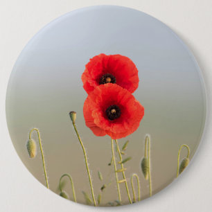 Red Poppies in the morning light 6 Cm Round Badge