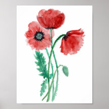 Red poppies in watercolor