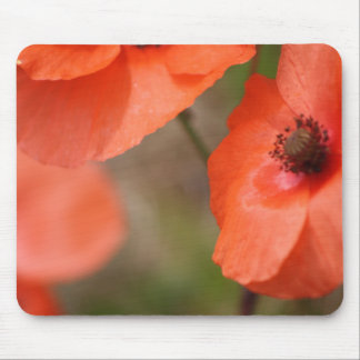 Red Poppies Mouse Pad
