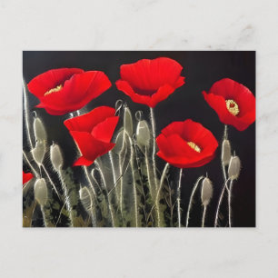 Red Poppies Nature Art Postcard