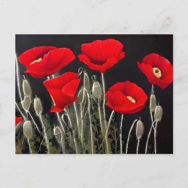 Red Poppies Nature Art Postcard (Front)