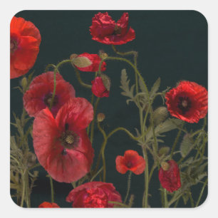 Red Poppies On Black Square Sticker