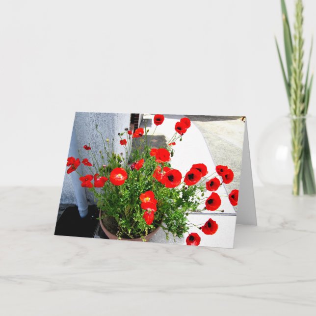 Red Poppies photo greeting card (Front)