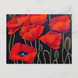 Red Poppies Plants Art Postcard