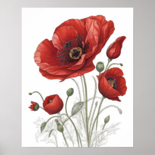 Red Poppies Poster