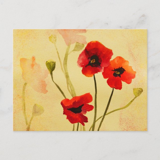Red Poppies Watercolor Post Card (Front)