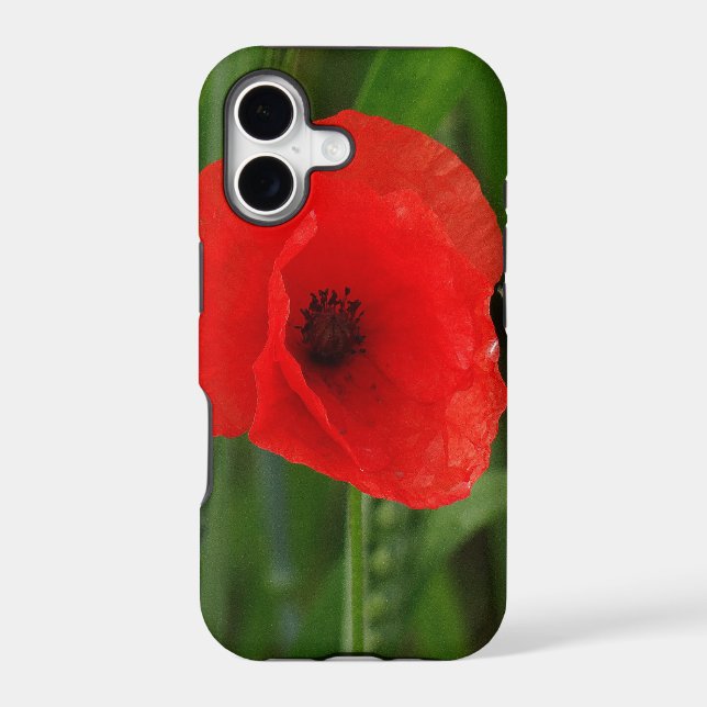 Red poppy (Back)