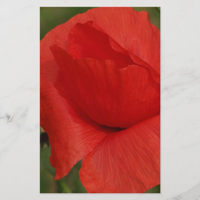 Red poppy (Front)