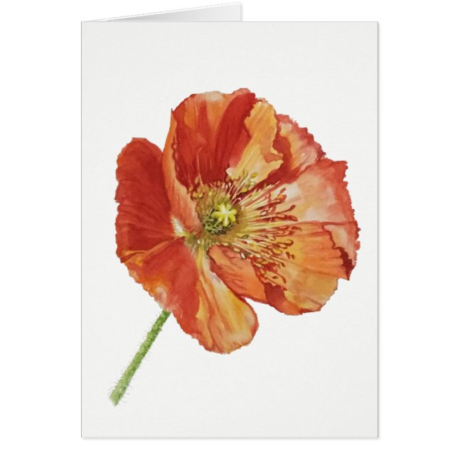 Red Poppy (5" x 7"),  envelopes included (Front)