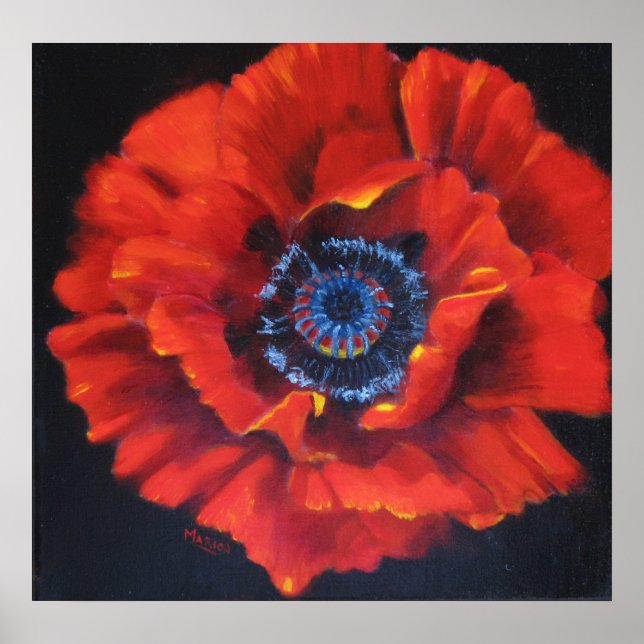 Red Poppy Art Poster (Front)