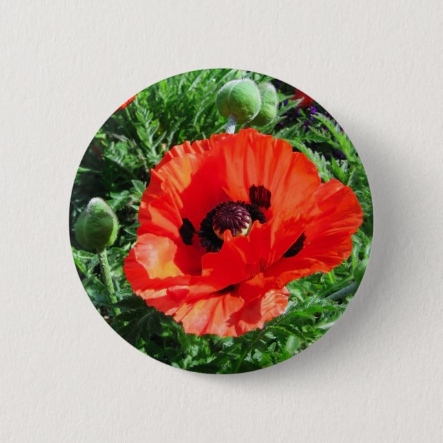 Red poppy - Button (Front)